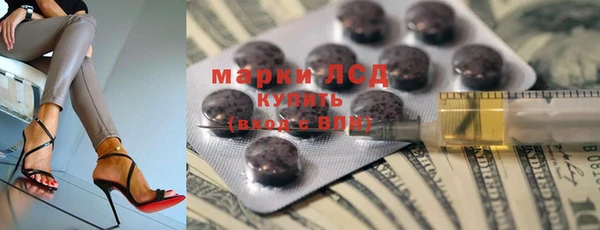 спиды Богородицк