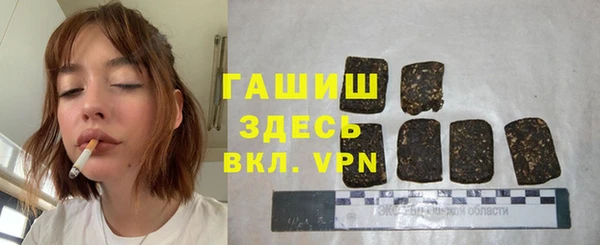 спиды Богородицк
