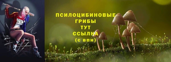 эйфоретик Богданович