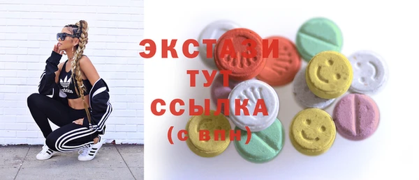 спиды Богородицк
