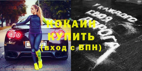 спиды Богородицк