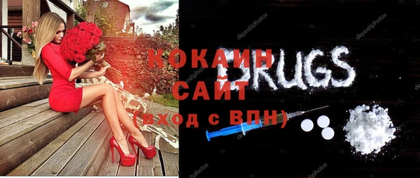 эйфоретик Богданович