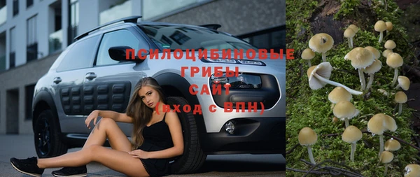эйфоретик Богданович