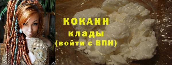 спиды Богородицк