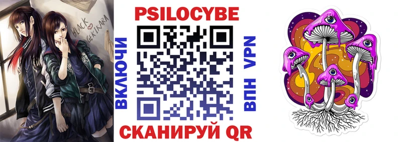 блэк спрут ССЫЛКА  Ленинградская  Галлюциногенные грибы ЛСД  закладки 